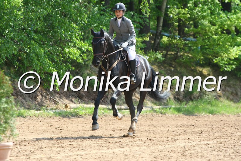 104M6220_Fantastic Touch_Stil_A.JPG